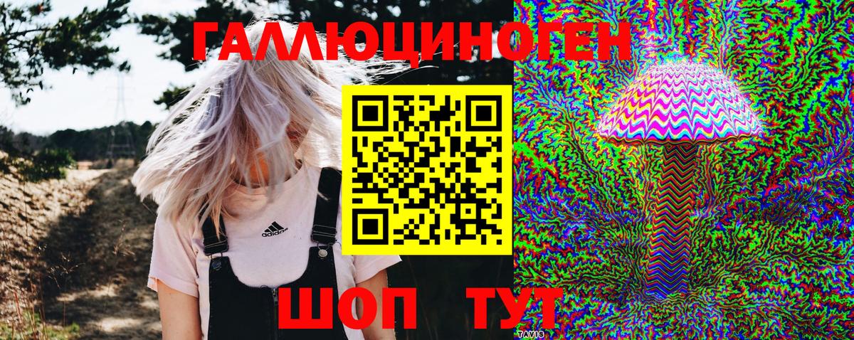 Галлюциногенные грибы Cubensis Дюртюли